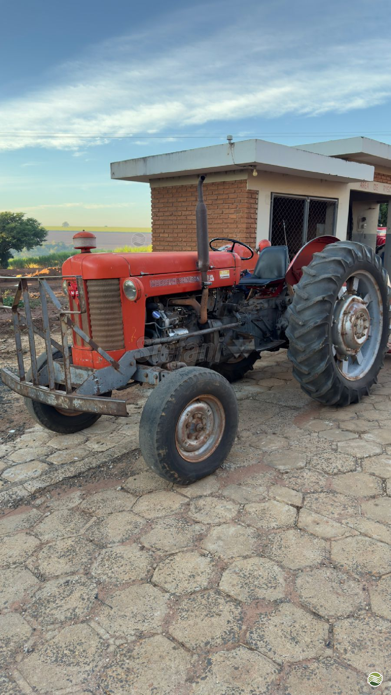 TRATOR MASSEY FERGUSON MF 65 Tração 4x2 Stéfani - Massey Ferguson JABOTICABAL SÃO PAULO SP